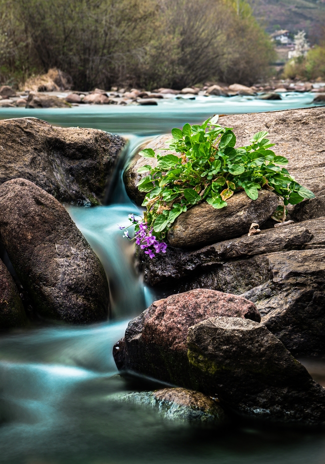 春天山间瀑布溪流风景图片