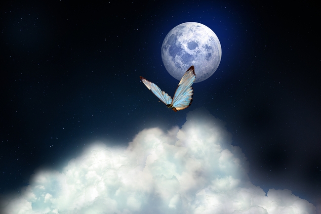 蓝色星空月亮蝴蝶图片