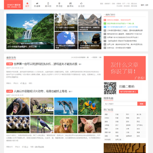 仿新版阿里百秀模板织梦免费模板下载