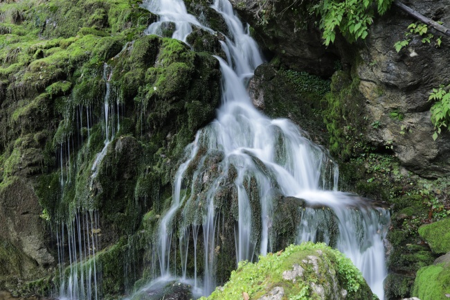 青苔瀑布景观图片