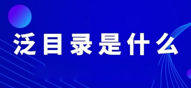 网站优化中的泛目录是什么意思？