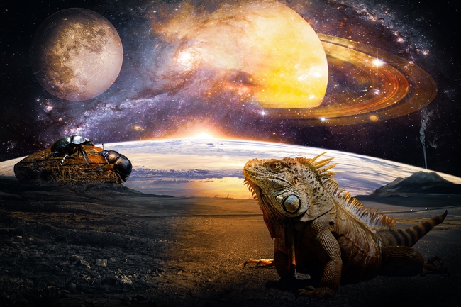 科幻太空蜥蜴星球图片