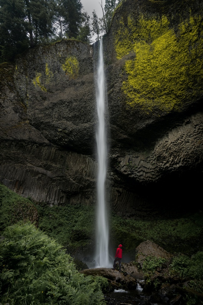 树林高山瀑布流图片