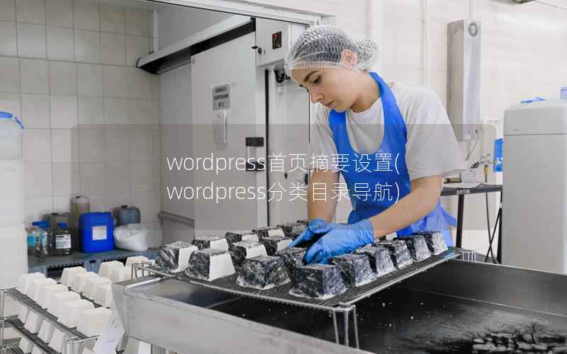 WordPress首页摘要设置，WordPress分类目录导航