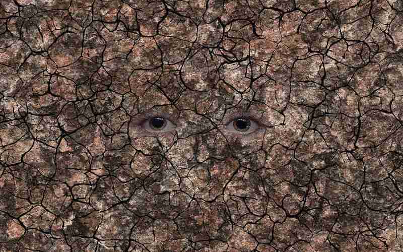 关键词优化与本地SEO的结合