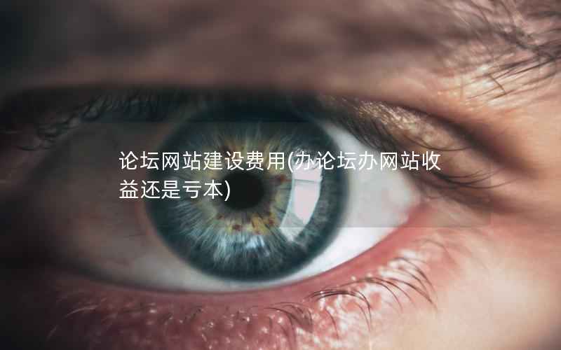 论坛网站建设费用，办论坛办网站收益还是亏本