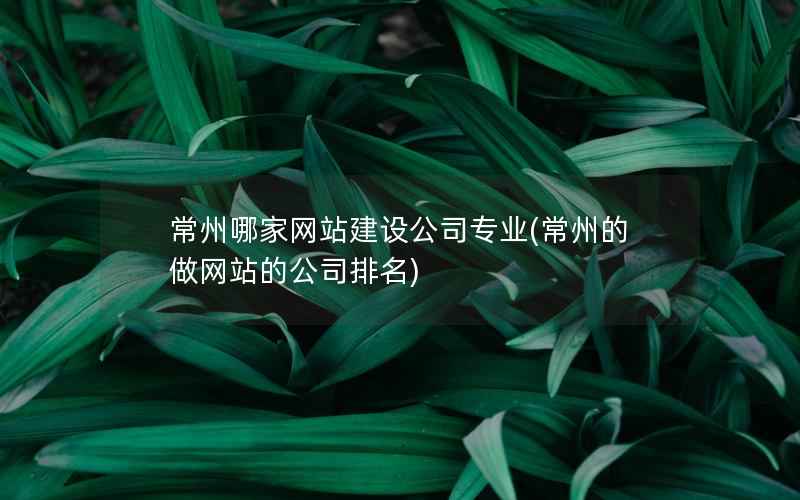 常州哪家网站建设公司专业，常州的做网站的公司排名