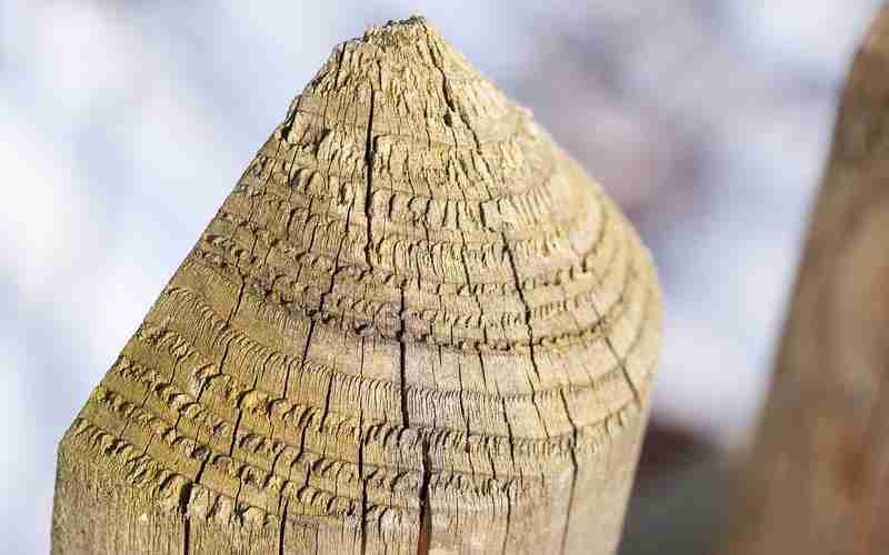 SEO中的死链接如何处理