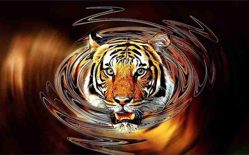 什么是内容更新对SEO的影响