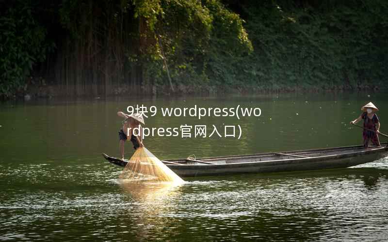 9块9 WordPress，WordPress官网入口