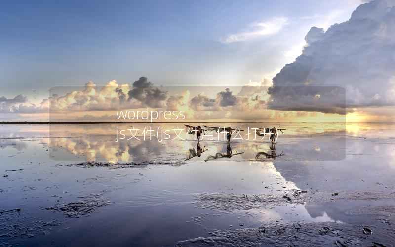 WordPress js文件，js文件用什么打开