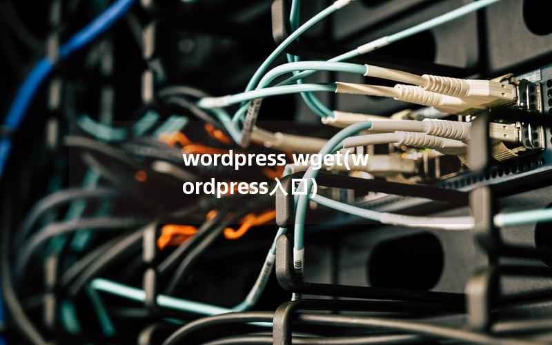 WordPress wget，WordPress入口