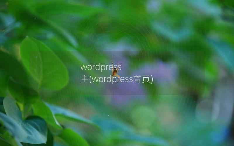 WordPress 主，WordPress首页