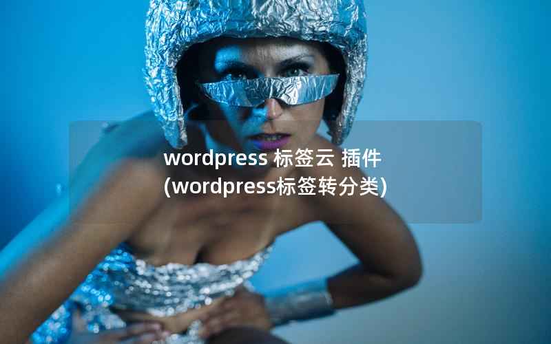 WordPress 标签云 插件，WordPress标签转分类