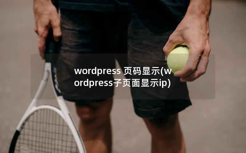 WordPress 页码显示，WordPress子页面显示ip