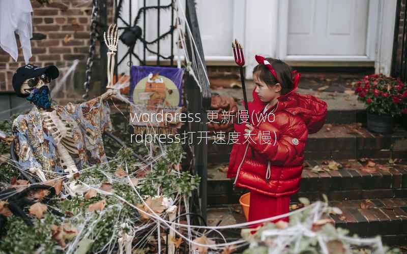WordPress 更新慢，WordPress打开速度太慢