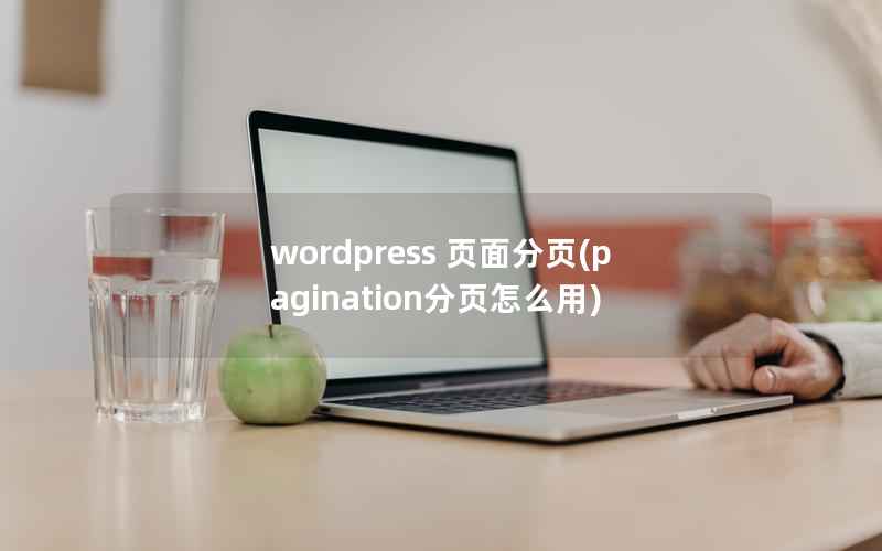 WordPress 页面分页，pagination分页怎么用