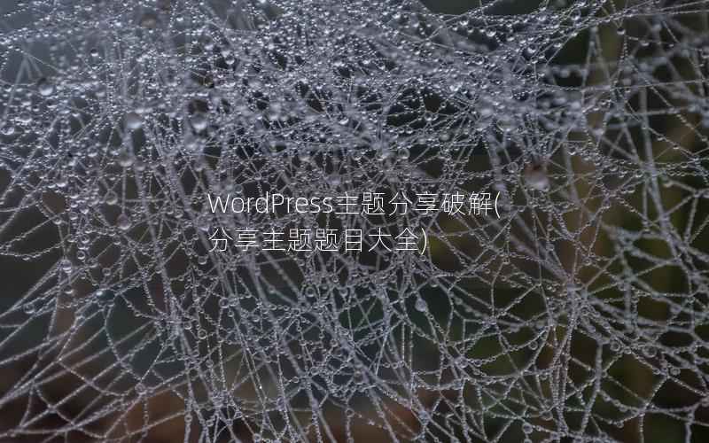 WordPress主题分享破解，分享主题题目大全