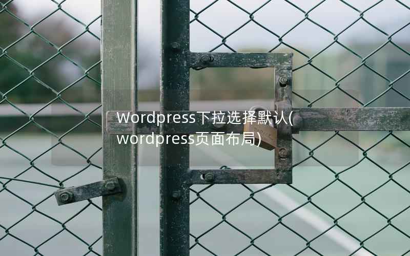 Wordpress下拉选择默认，WordPress页面布局