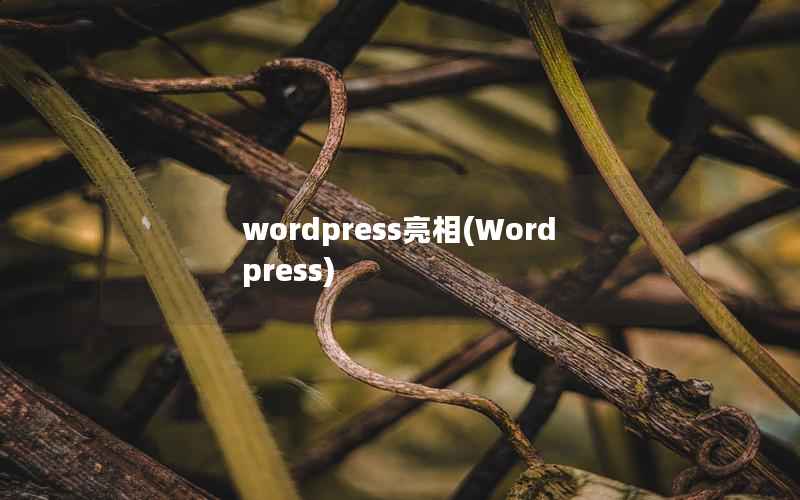 WordPress亮相，Wordpress