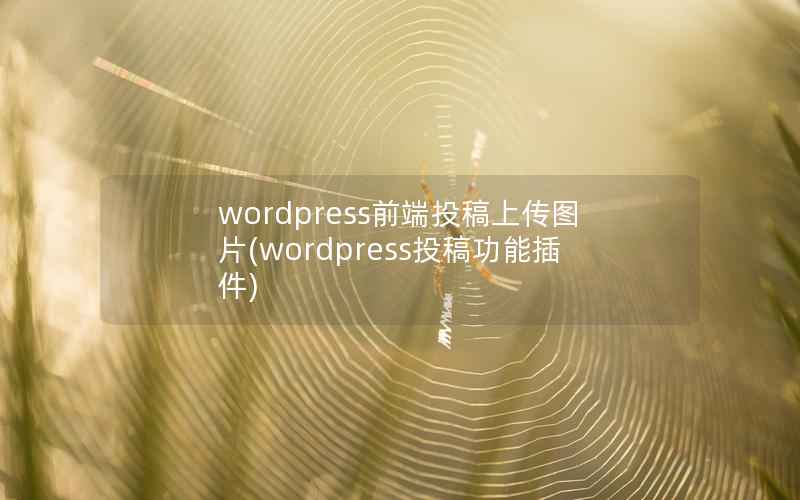 WordPress前端投稿上传图片，WordPress投稿功能插件