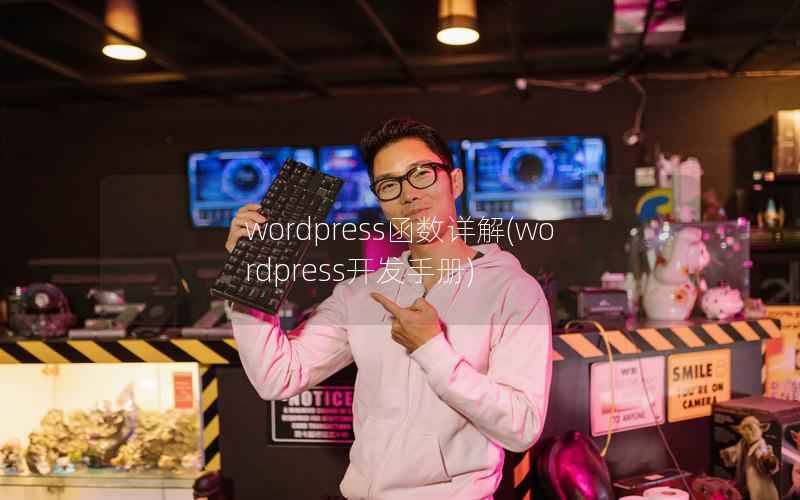 WordPress函数详解，WordPress开发手册