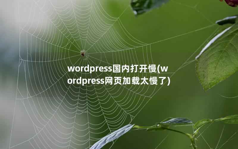 WordPress国内打开慢，WordPress网页加载太慢了