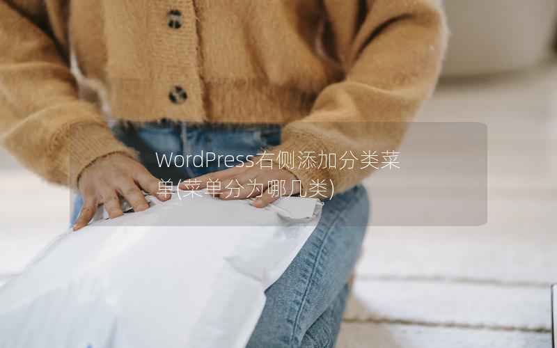 WordPress右侧添加分类菜单，菜单分为哪几类