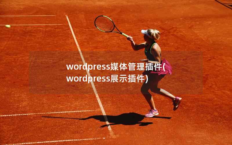 WordPress媒体管理插件，WordPress展示插件