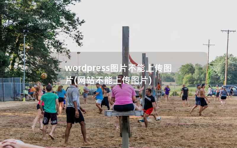 WordPress图片不能上传图片，网站不能上传图片
