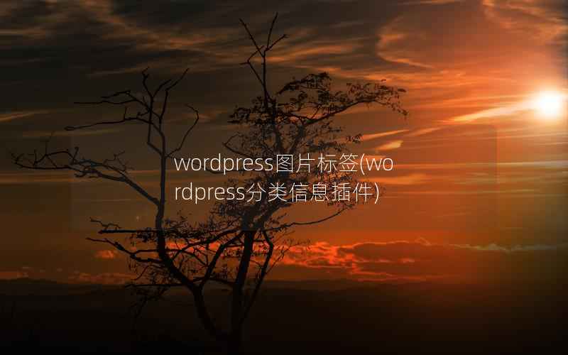 WordPress图片标签，WordPress分类信息插件