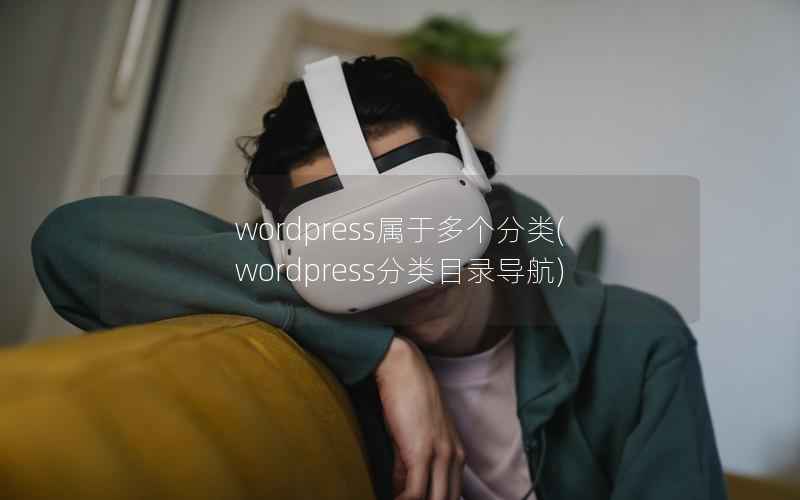 WordPress属于多个分类，WordPress分类目录导航