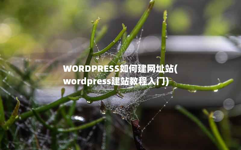 WORDPRESS如何建网址站，WordPress建站教程入门
