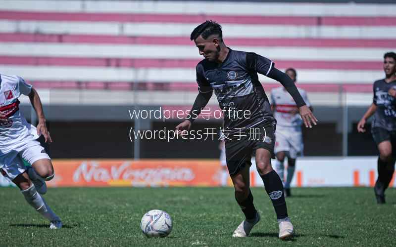 WordPress导office，WordPress开发手册