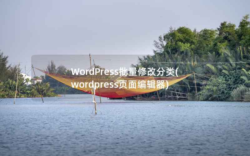 WordPress批量修改分类，WordPress页面编辑器