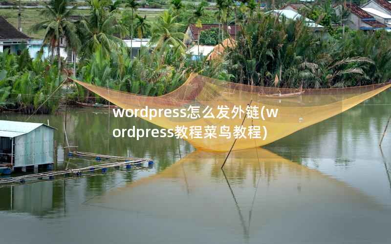 WordPress怎么发外链，WordPress教程菜鸟教程