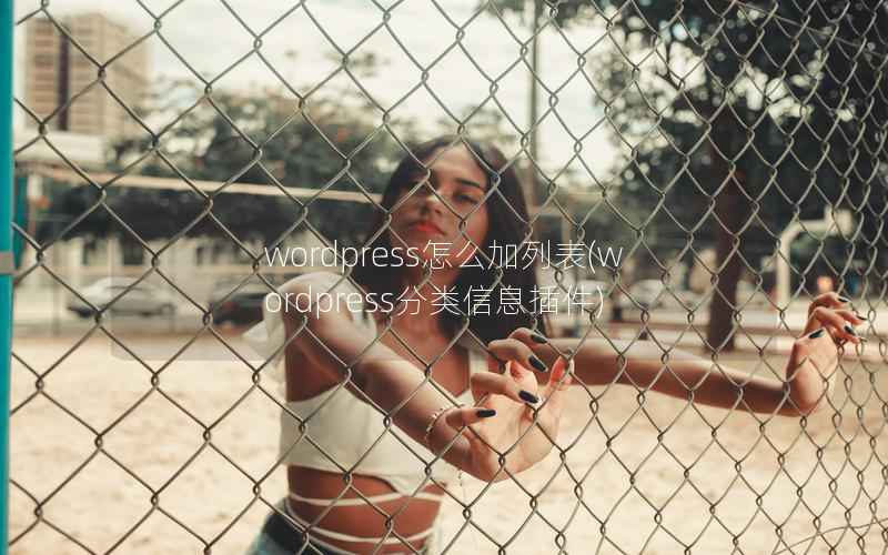 WordPress怎么加列表，WordPress分类信息插件
