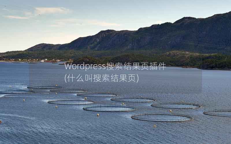 Wordpress搜索结果页插件，什么叫搜索结果页