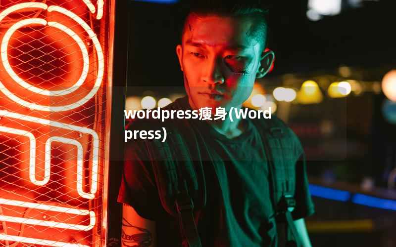 WordPress瘦身，Wordpress
