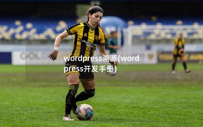 WordPress溯源，WordPress开发手册
