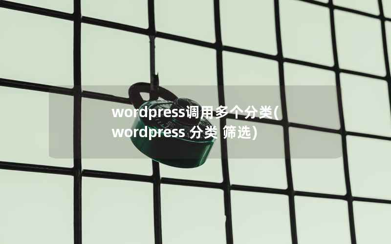WordPress调用多个分类，WordPress 分类 筛选