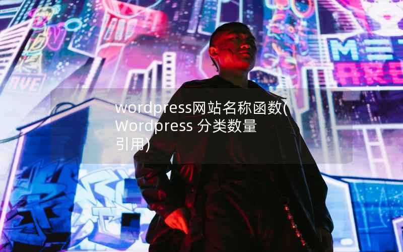 WordPress网站名称函数，Wordpress 分类数量 引用