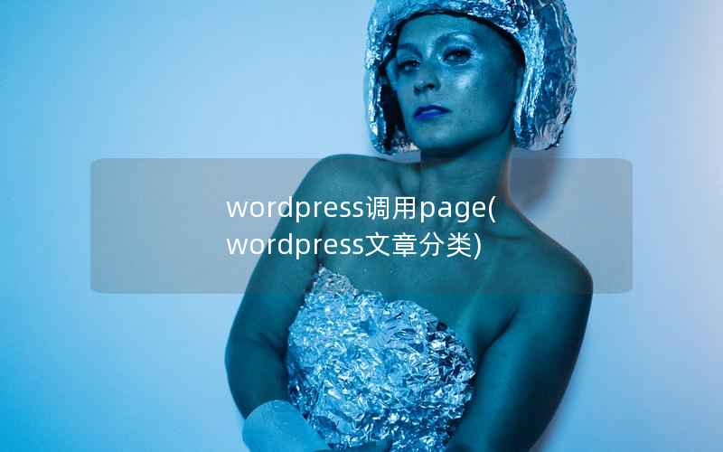 WordPress调用page，WordPress文章分类