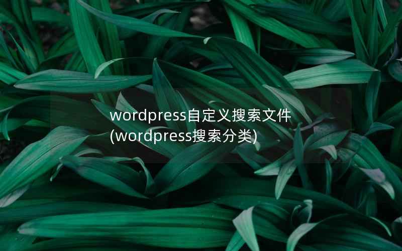 WordPress自定义搜索文件，WordPress搜索分类