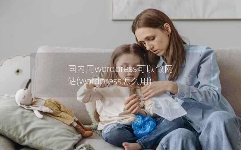 国内用WordPress可以做网站，WordPress怎么用
