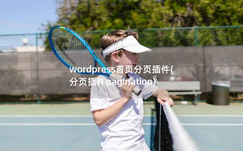 WordPress首页分页插件，分页插件pagination