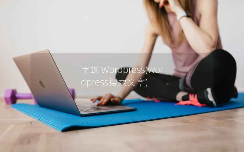 字蛛 Wordpress，WordPress搜索文章