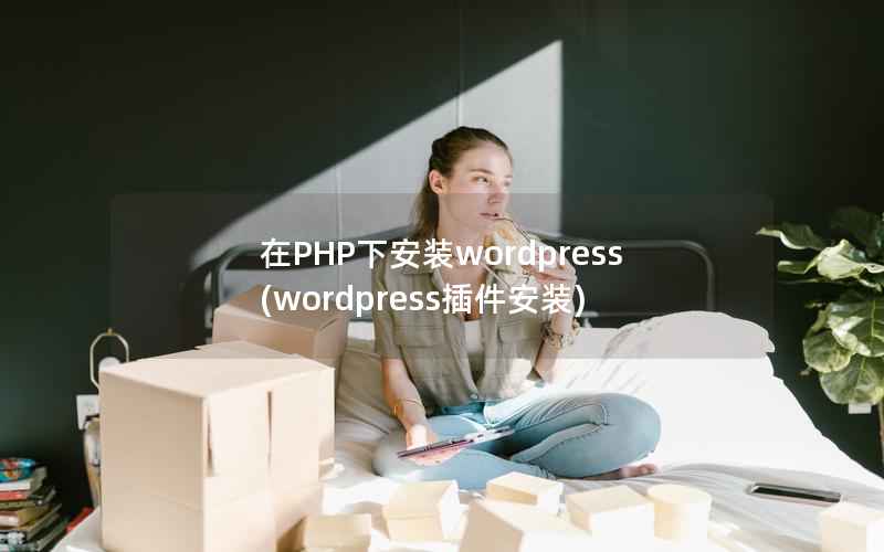 在PHP下安装WordPress，WordPress插件安装