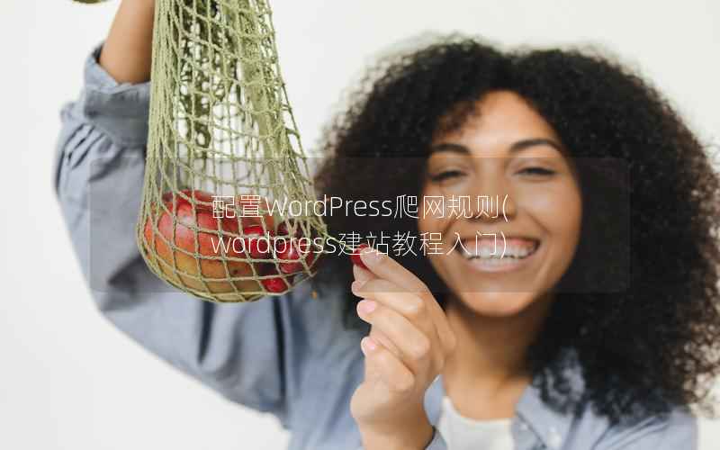 配置WordPress爬网规则，WordPress建站教程入门