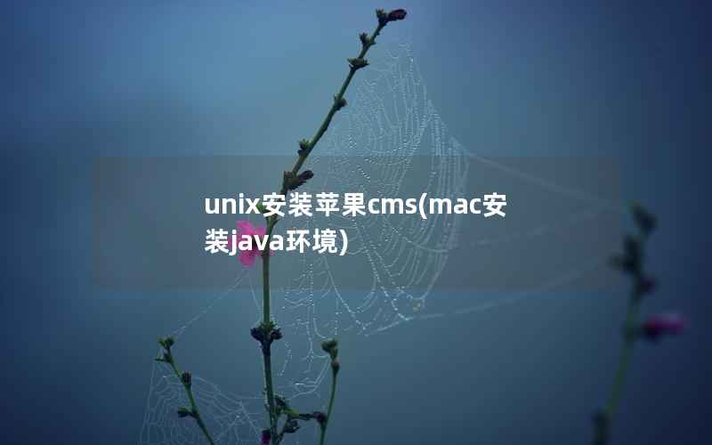 unix安装苹果CMS，mac安装java环境